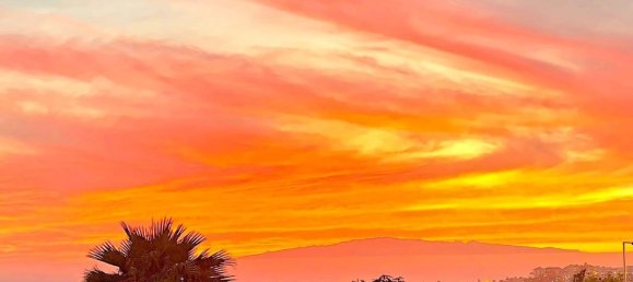 4 bedrooms Villa in Adeje, Spain No. 126324 26