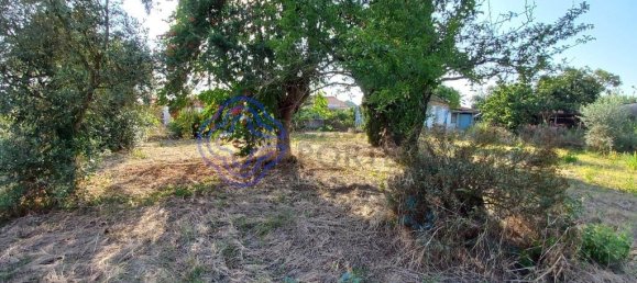 Terreno em Tomar, Portugal 180 m² N.º 79612 2