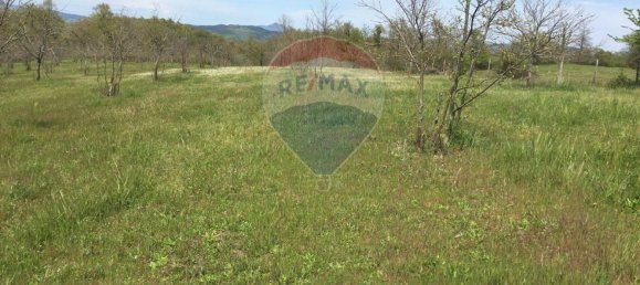 3 bedrooms House in Acquapendente, Italy No. 319423 50