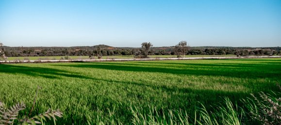 3 Schlafzimmer Villa in Alcacer do Sal, Portugal, Nr. 309251 21