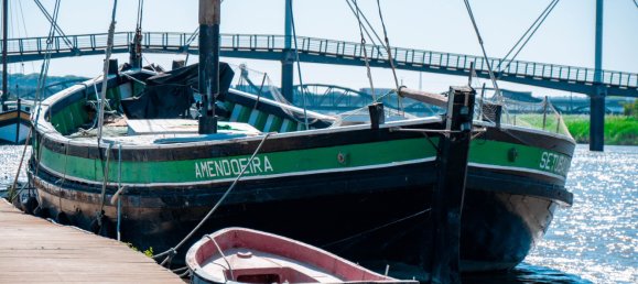 3 Schlafzimmer Villa in Alcacer do Sal, Portugal, Nr. 309251 14