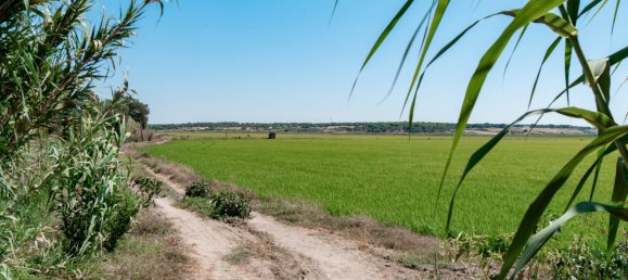 3 Schlafzimmer Villa in Alcacer do Sal, Portugal, Nr. 309251 22