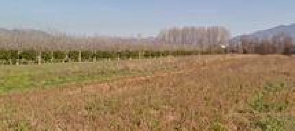 8391m² Land in Santi Cosma e Damiano, Italy No. 267806 2