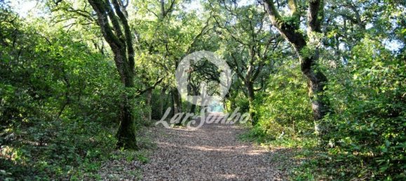 Дом с 6 спальнями в Виана ду Каштелу, Португалия № 66675 2