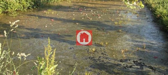 Дом с 6 спальнями в Виана ду Каштелу, Португалия № 66675 11