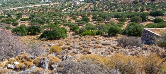 Hotel em Lasithi, Greece 4050 m² N.º 6026 6