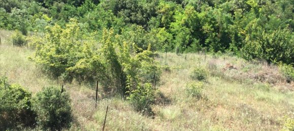 Hotel in Panorama, Greece 2500m², Nr. 5581 4