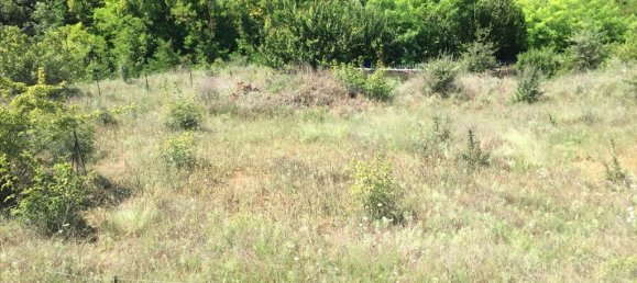 Hotel in Panorama, Greece 2500m², Nr. 5581 5