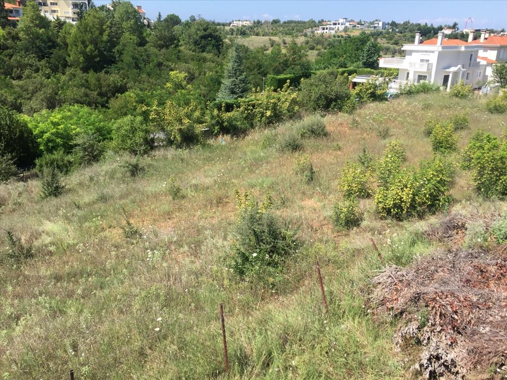 Hotel in Panorama, Greece 2500m², Nr. 5581