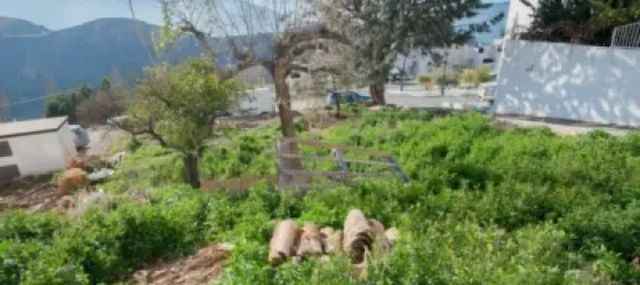  Land in Lanjaron, Spain No. 110914 3