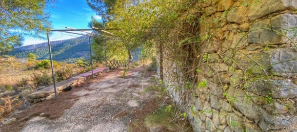  Land in Jalon, Spain No. 286342 17