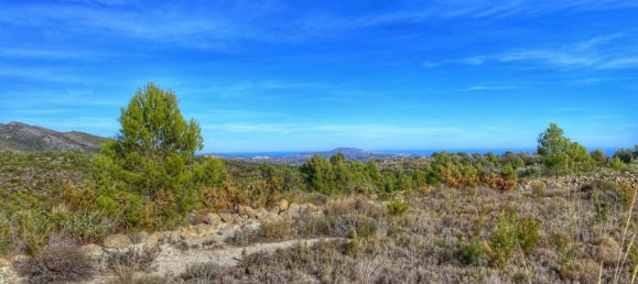  Land in Jalon, Spain No. 286342 13