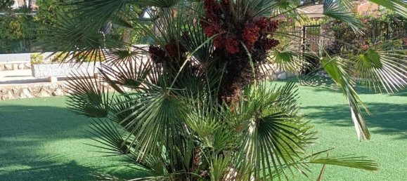 6 غرف نوم فيلا في Dehesa De Campoamor, Spain رقم 184750 35