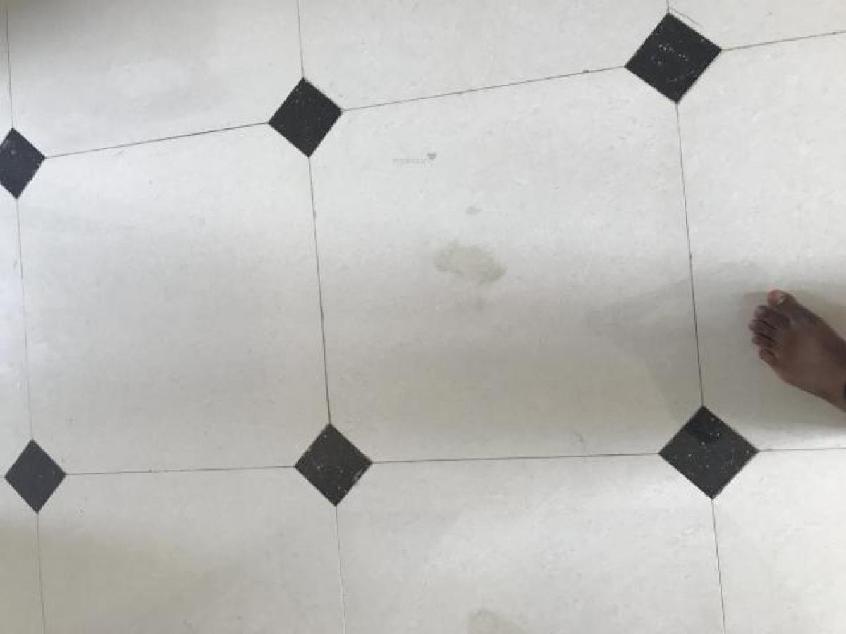 استوديو في Nagpur, India رقم 27257