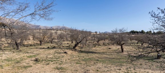 6 bedrooms House in Almeria, Spain No. 178022 14