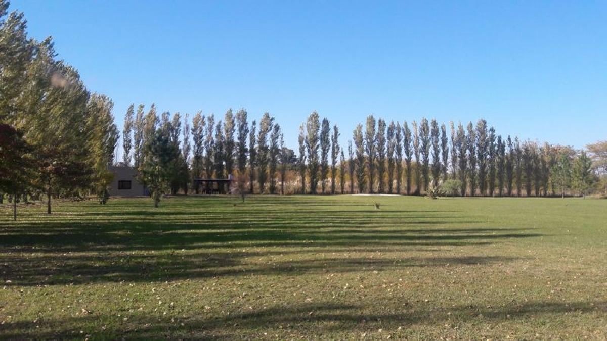 Studio in Buenos Aires, Argentina No. 92245