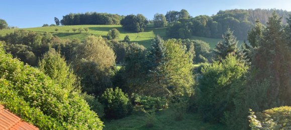 8 rooms House in Saale-Holzland, Germany No. 203222 7