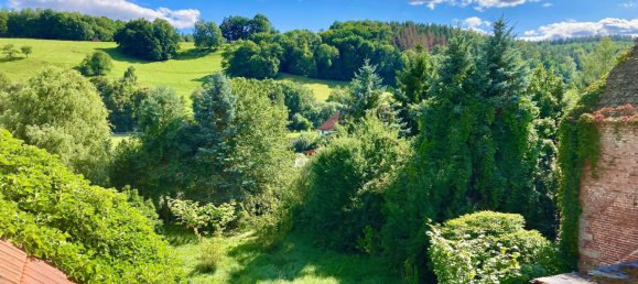 8 rooms House in Saale-Holzland, Germany No. 203222 12