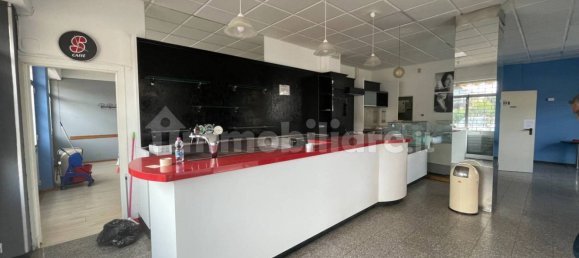 2 rooms Commercial property in Città di Castello, Italy No. 157146 4