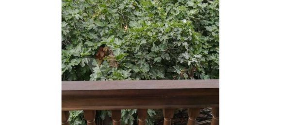 Таунхаус с 4 спальнями в Пилонья, Испания № 139067 38