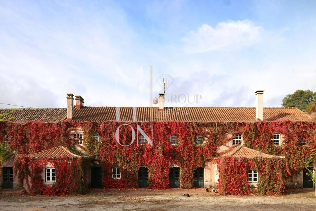 5 غرف نوم منزل في Torres Vedras, Portugal رقم 54386