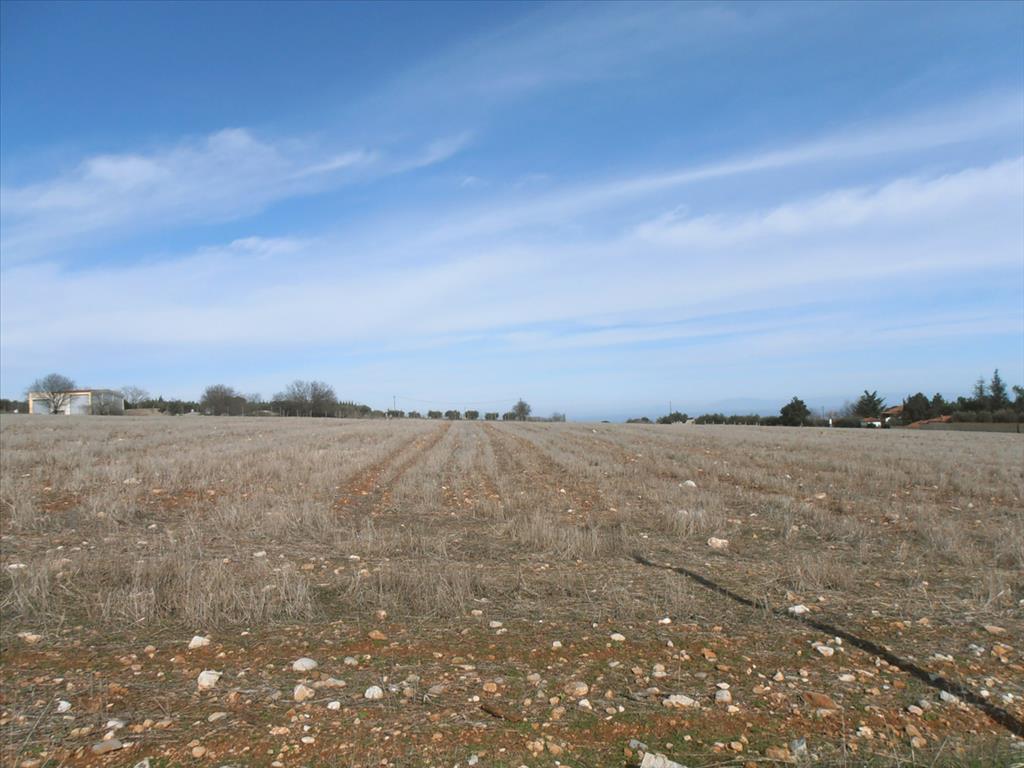 35000m² Hotel in Dion, Greece No. 8030