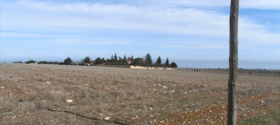 35000m² Hotel in Dion, Greece No. 8030 2