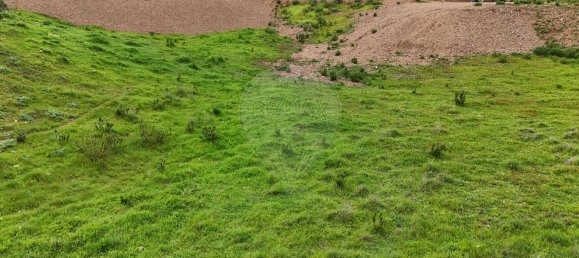 Grundstück in Saboia, Portugal 41375m², Nr. 47541 19