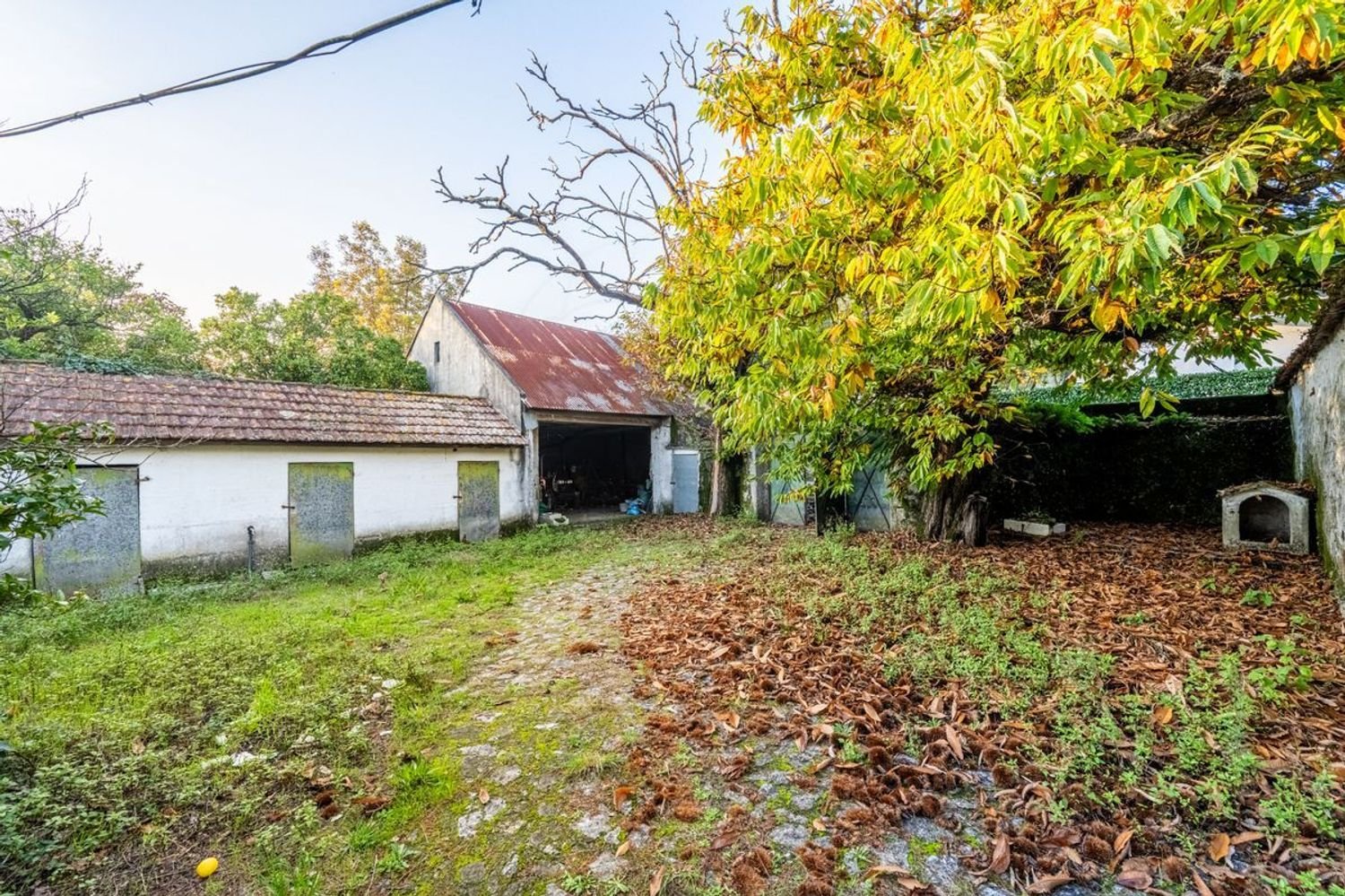 1 Schlafzimmer Haus in Viana do Castelo, Portugal, Nr. 68248