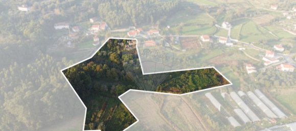 1 Schlafzimmer Haus in Viana do Castelo, Portugal, Nr. 68248 5