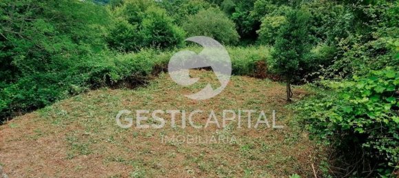 4 bedrooms House in Marco de Canaveses, Portugal No. 39573 9