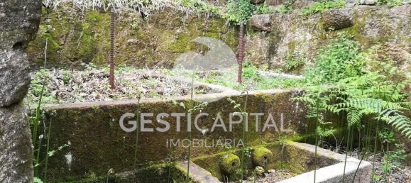 4 bedrooms House in Marco de Canaveses, Portugal No. 39573 19