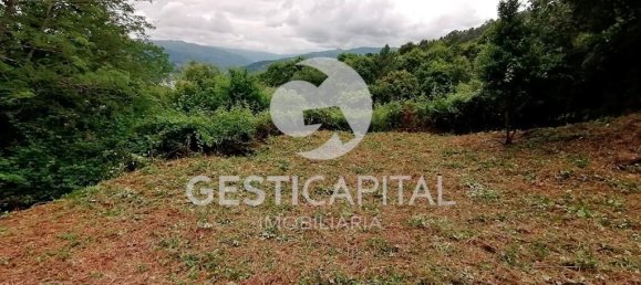 4 bedrooms House in Marco de Canaveses, Portugal No. 39573 10