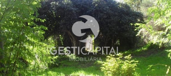 4 bedrooms House in Marco de Canaveses, Portugal No. 39573 4