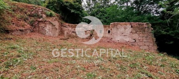 4 bedrooms House in Marco de Canaveses, Portugal No. 39573 12