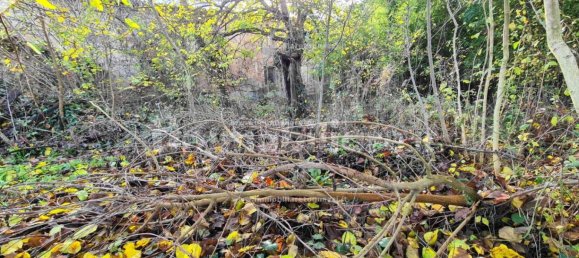 4 bedrooms House in Certaldo, Italy No. 11713 10