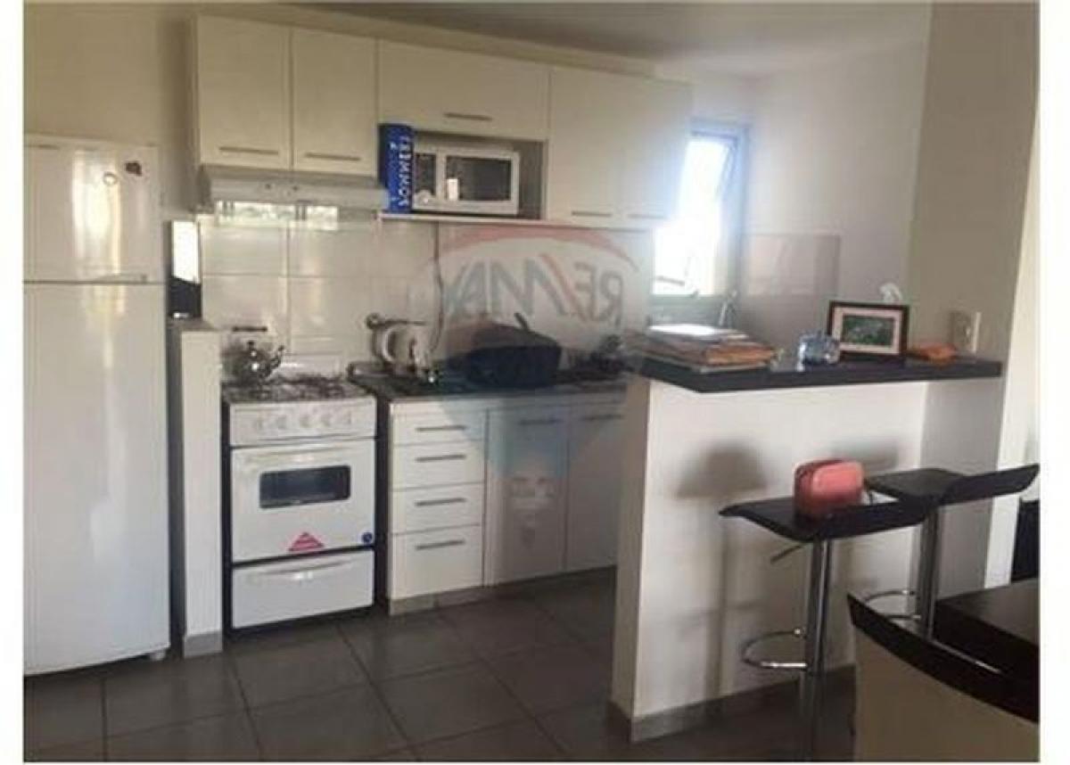 Studio in Campo Creado, Argentina, Nr. 15533