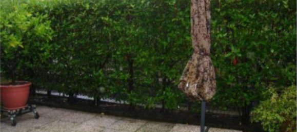 3 bedrooms Apartment in Travedona-Monate, Italy No. 363518 13