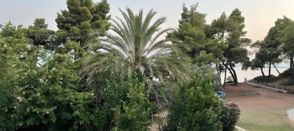 2 chambres Appartement à Chalkidiki, Greece No. 2731 20