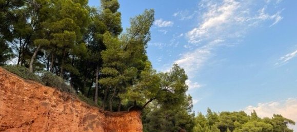 2 chambres Appartement à Chalkidiki, Greece No. 2731 6