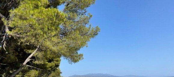 2 chambres Appartement à Chalkidiki, Greece No. 2731 18