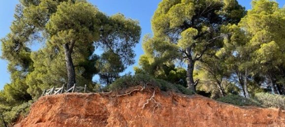 2 chambres Appartement à Chalkidiki, Greece No. 2731 3