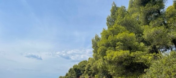 2 chambres Appartement à Chalkidiki, Greece No. 2731 16