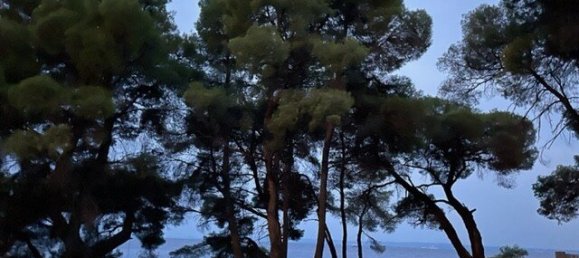 2 chambres Appartement à Chalkidiki, Greece No. 2731 17