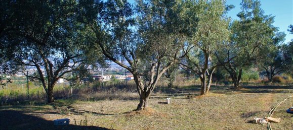 5 Schlafzimmer Gewerbliche Immobilien in Thessaloniki, Greece, Nr. 5961 23