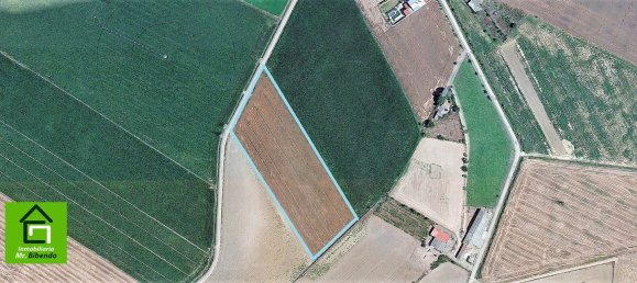 Земельный участок 68704м² в Моралеса-дель-Вино, Испания № 80891 3