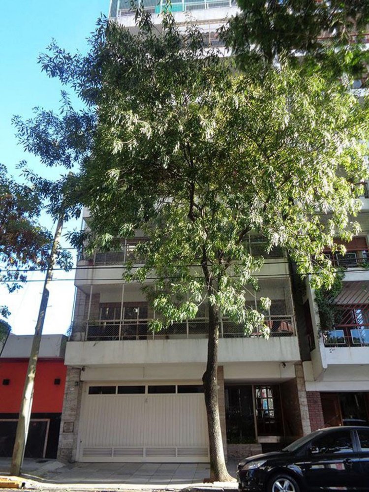 3 bedrooms Apartment in Buenos Aires, Argentina No. 93823