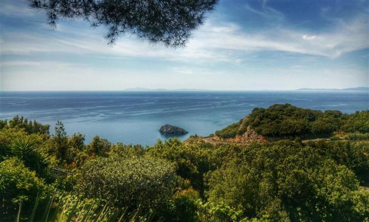 Villa T7 em Monte Argentario, Italy N.º 793