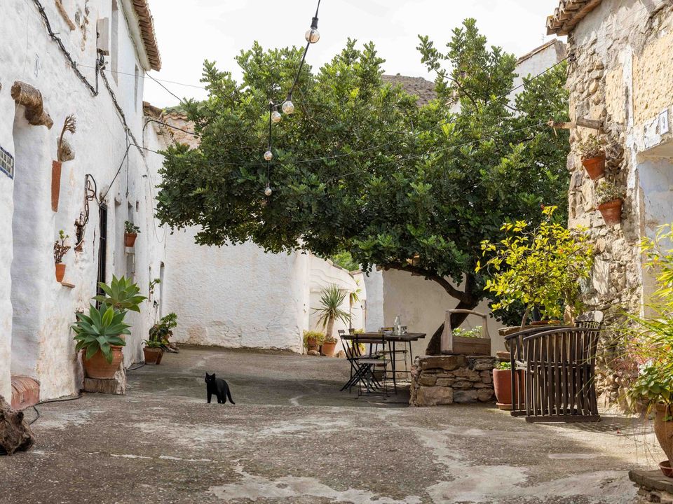 31 غرف نوم منزل في Vinuela, Spain رقم 179067