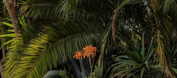 31 غرف نوم منزل في Vinuela, Spain رقم 179067 30